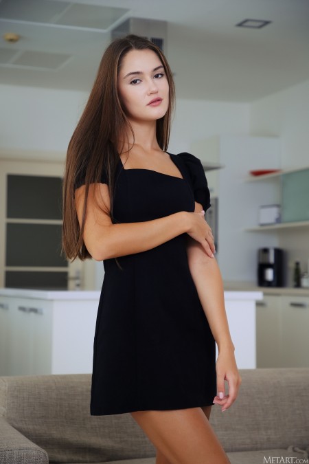 Элегантная Соня: Рабочий момент дома