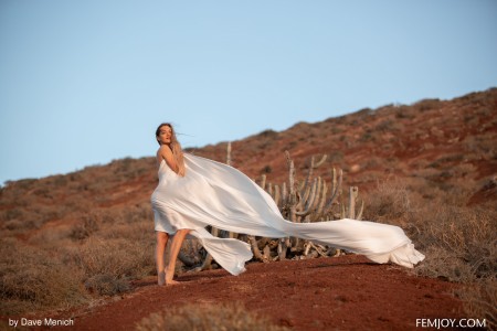 Смайлик Николь Фокс: летняя элегантность на песках