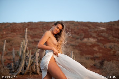 Смайлик Николь Фокс: летняя элегантность на песках