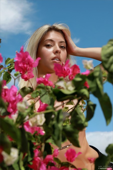 Летнее наслаждение: фотосет Avery A